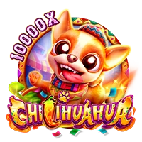 Facai : CHILIHUAHUA - FULLBET138