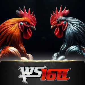 Ws168 Sabung - FULLBET138