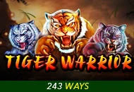 Spadegaming : Tiger Warrior - FULLBET138